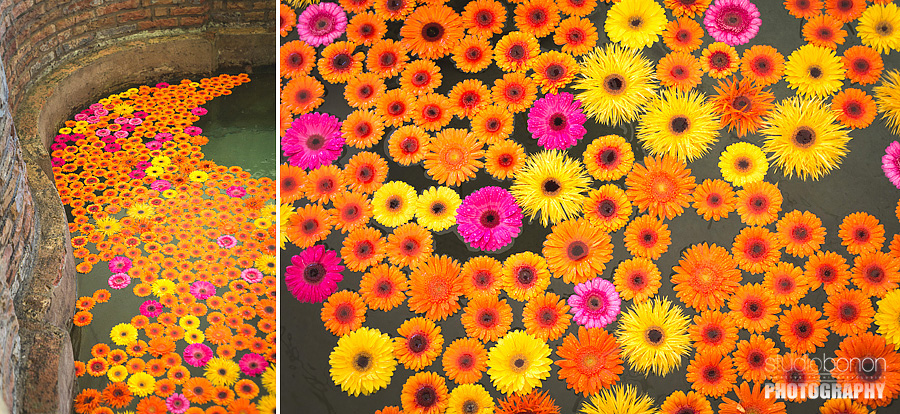 030-bolly-wedding-flowers-umbria