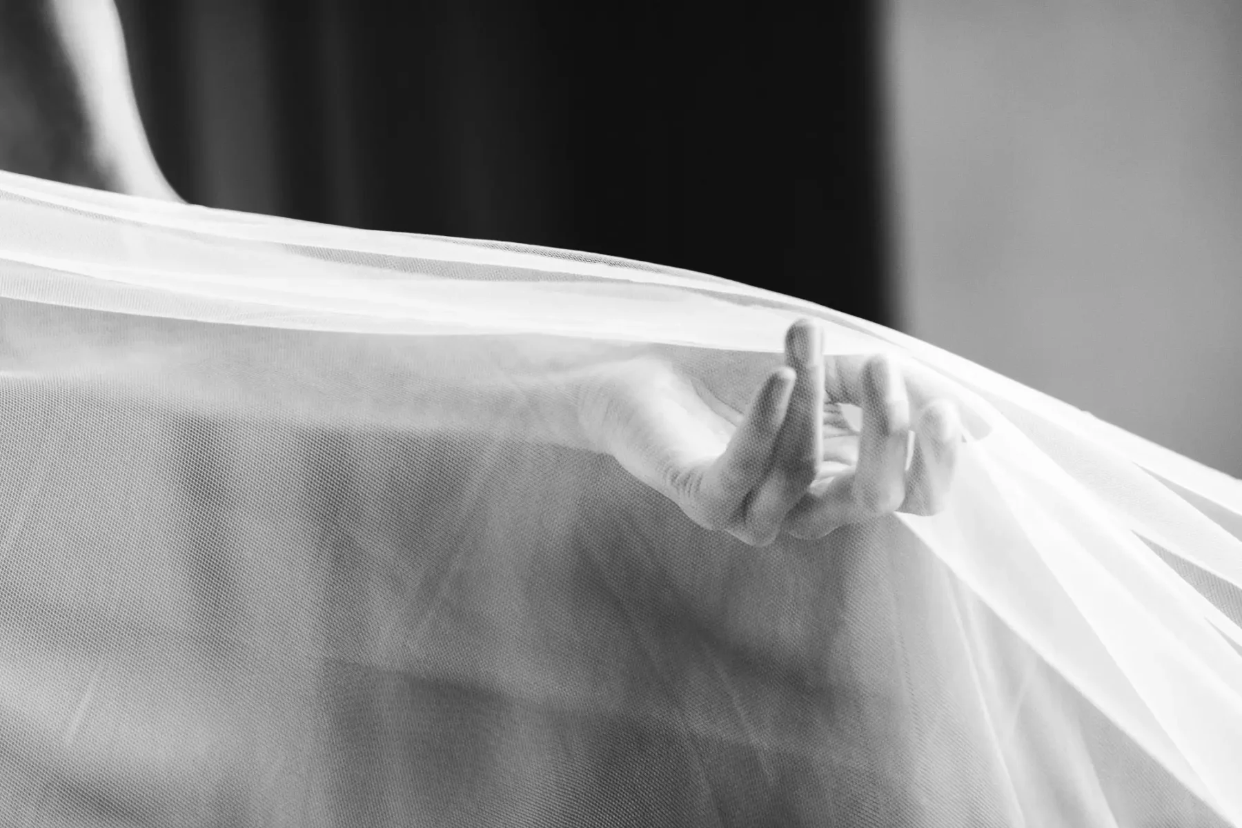 Bridal elegant detail with hand and veil