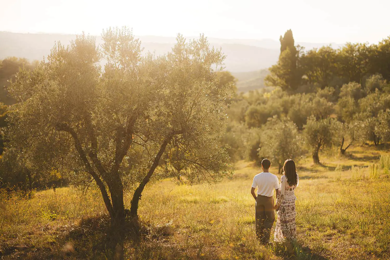 Romantic golden hour photo session among olive trees in the Chianti countryside