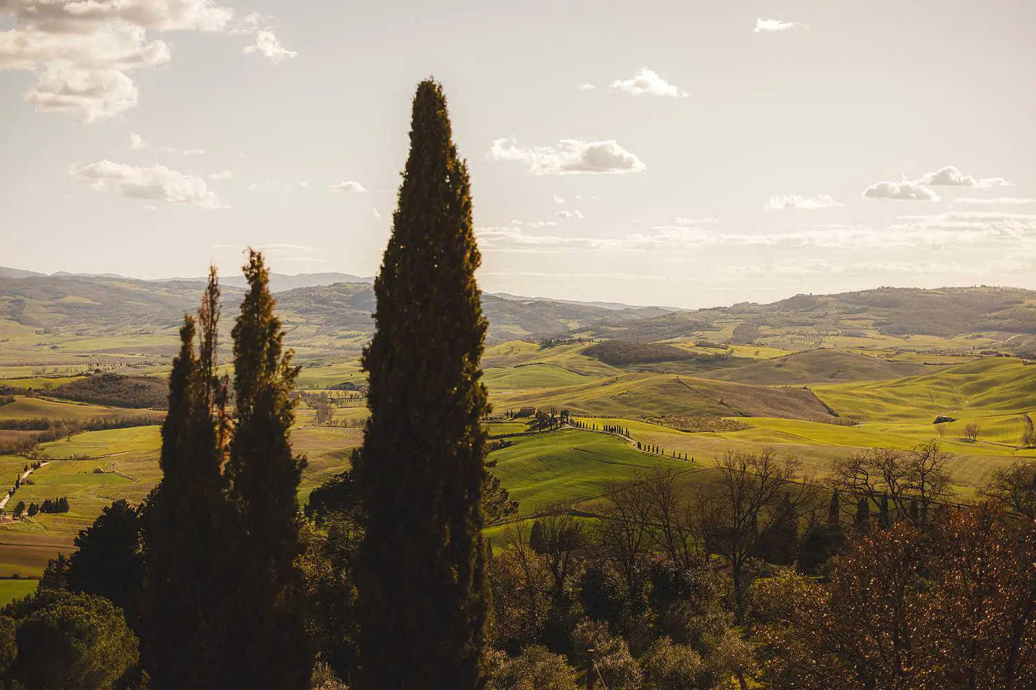 Iconic rolling hills of the Val d’Orcia near Pienza a perfect place for a couple photo shoot