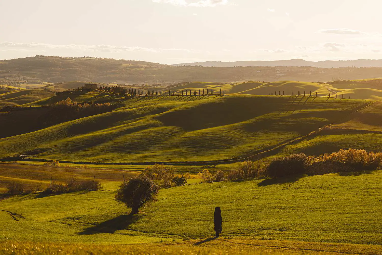 Iconic rolling hills of the Val d’Orcia near Pienza a perfect place for a couple photo shoot