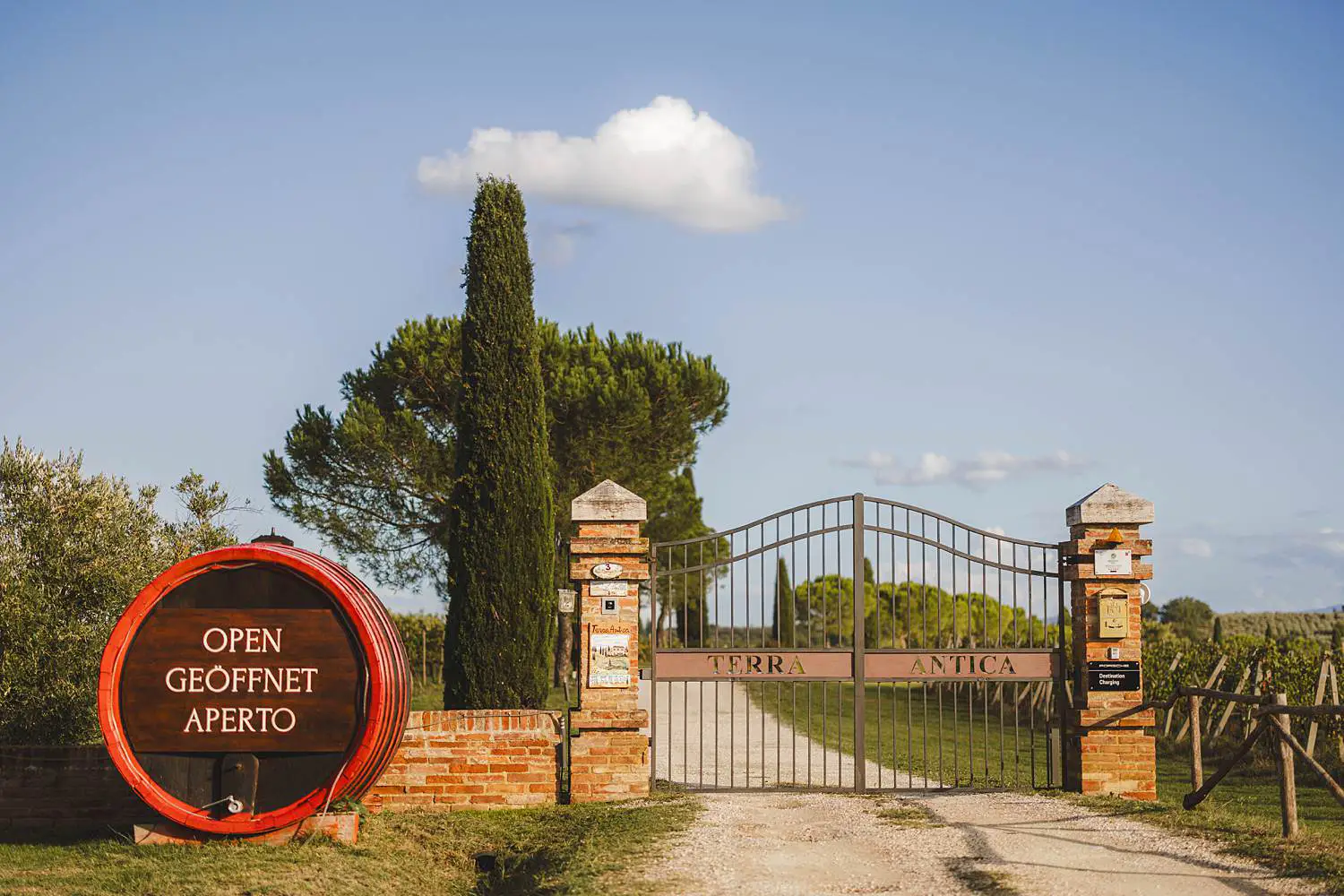 Terra Antica Winery Resort is a gorgeous venue where to shoot an unforgettable family shoot in Tuscany