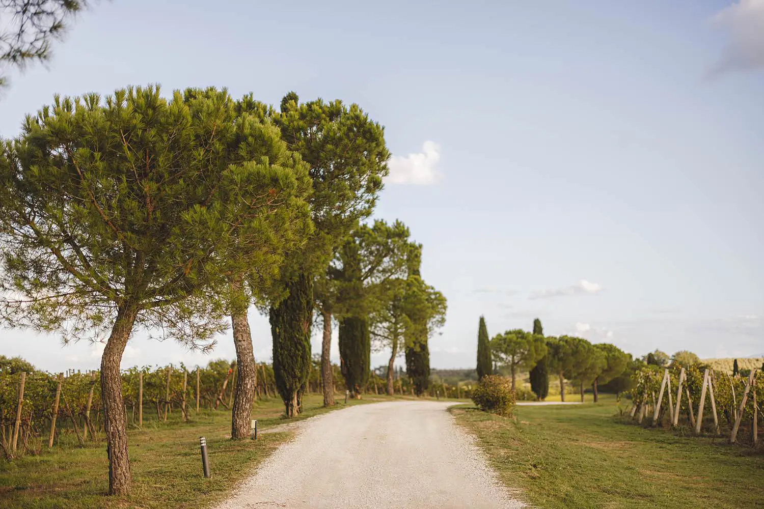 Terra Antica Winery Resort is a gorgeous venue where to shoot an unforgettable family shoot in Tuscany