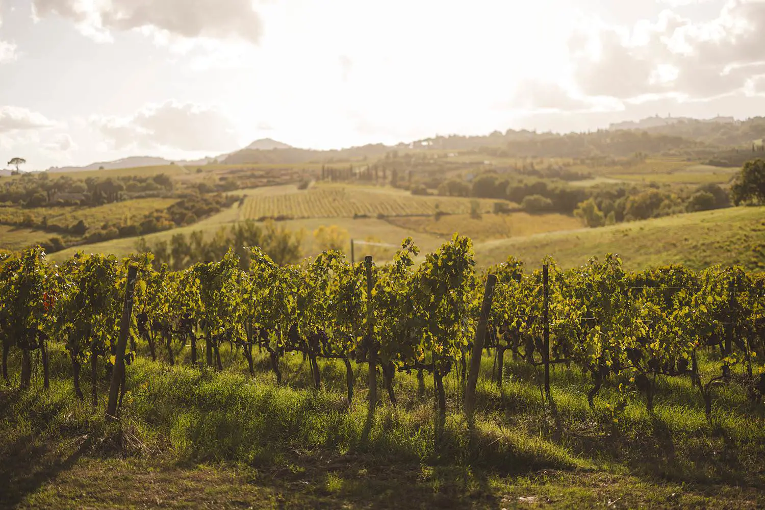 Terra Antica Winery Resort is a gorgeous venue where to shoot an unforgettable family shoot in Tuscany