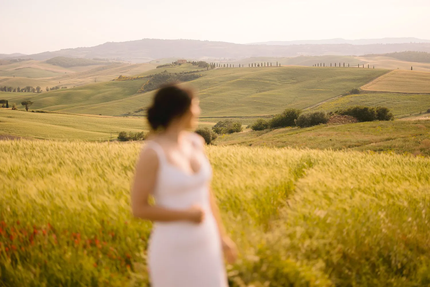 Jessica in a white dress, softly out of focus in a field of grain, with green hills and distant cypress rows near Pienza.