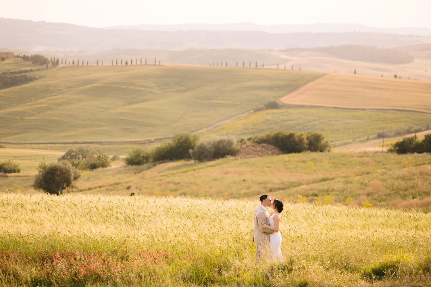 Jessica and Chris embrace in a sunlit field beneath the rolling hills and distant cypress trees of Val d'Orcia.