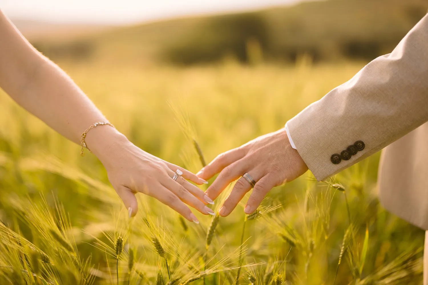 Close-up of Jessica and Chris joining their fingers to form a heart above sunlit grain during their Tuscany couple session.
